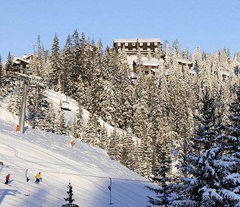 Kvitfjellvegen 492 Kvitfjell
